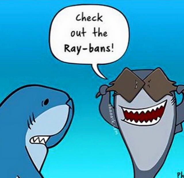Anche gli squali si proteggono gl'occhi dal sole
Buona giornata diver

'Foto di SharkCartoons'
#diving #sharkglasses #oceanfashion