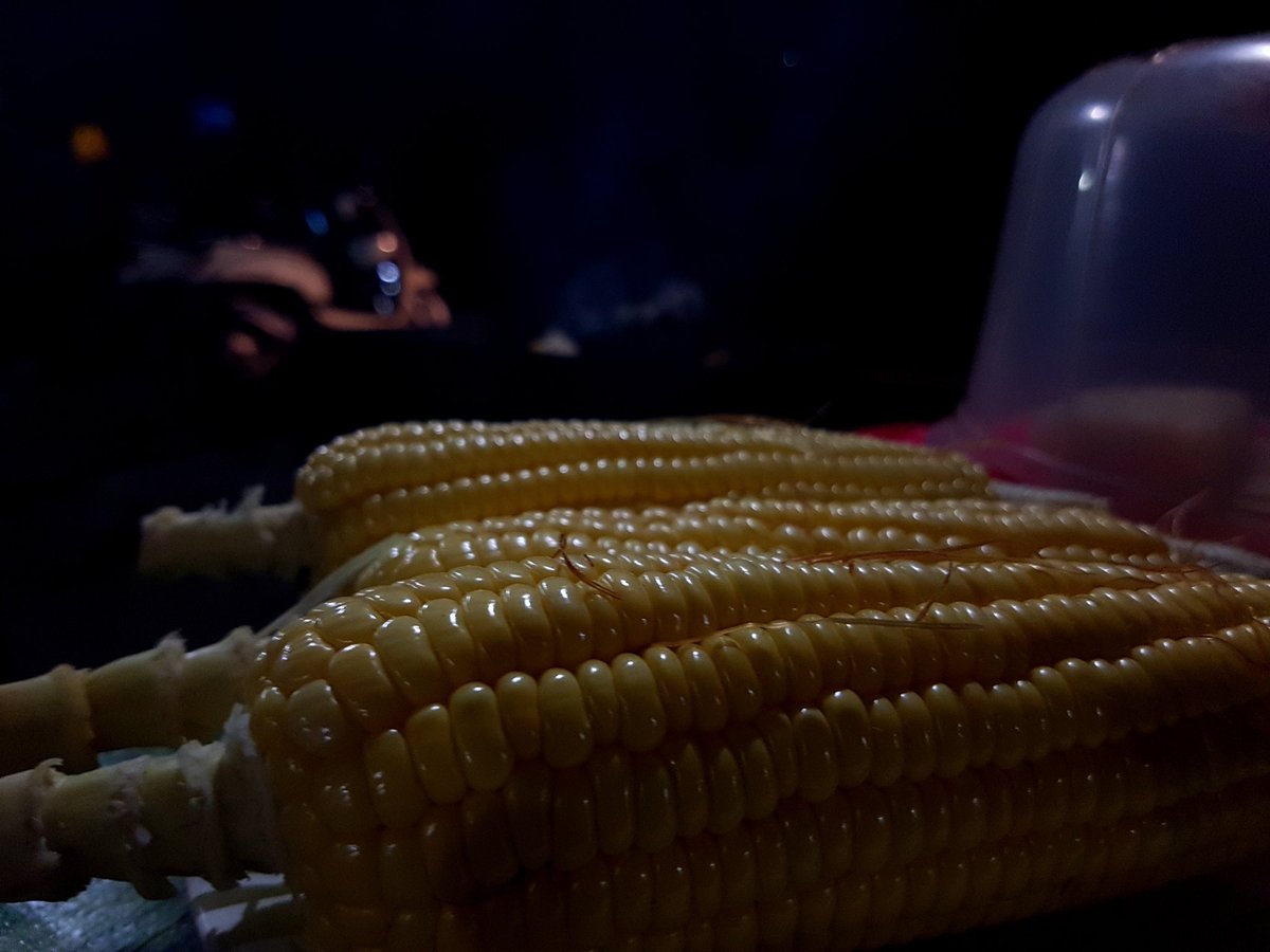 YudhoAdii's tweet photo. Siap buat Jagung bakar #lembang https://t.co/kxcGJ364pT
