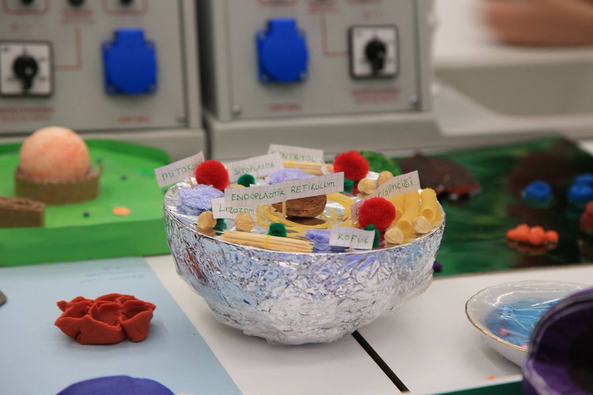 acibademkoleji's tweet image. HÜCRELERİ PASTALARA DÖNÜŞTÜRDÜK!#ozelacibademkoleji  #fenbilgisi #odev #hücreler #pastalar #eğlenereköğrenmek