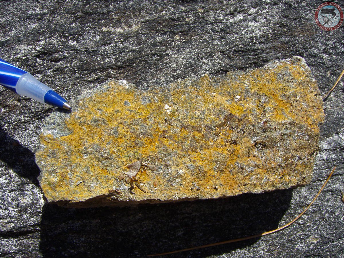 MassGeol's tweet photo. #MineralMonday: 2ndary #pumpkinspice mineralization along fractures within the #Ordovician #Nashoba Fm. (just kidding: it’s #limonite). https://t.co/Bd2NUQMaT8