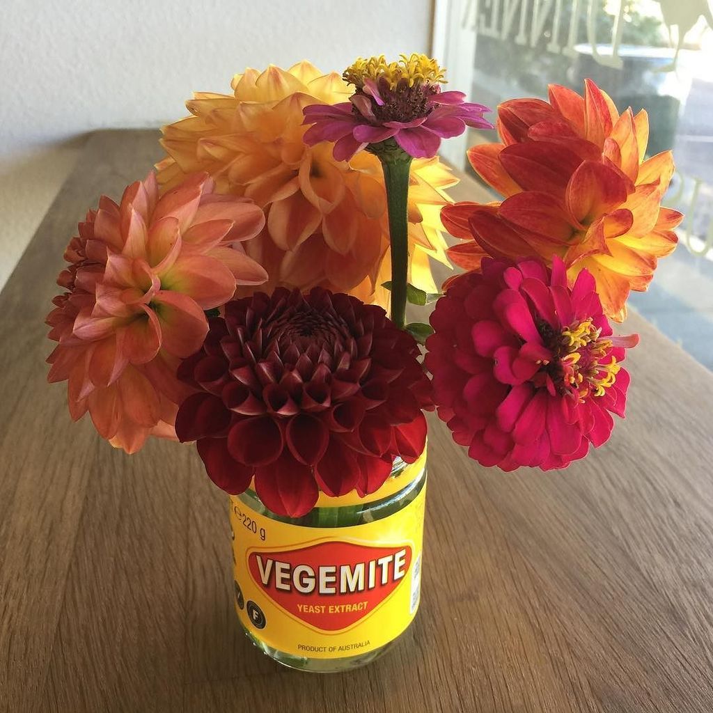 waltzingkangaro's tweet photo. No #flower arrangement could be more #perfect 🌼 @vegemite #upsycle at it best! #thankyou #… https://t.co/oXWyNUCsvZ https://t.co/zYrfLEEeFx