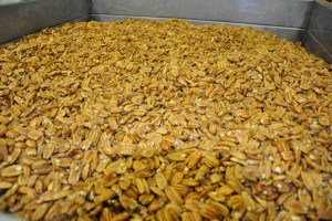 MillerPecan's tweet photo. Custom Pecan Shelling https://t.co/6ePCB98AAc https://t.co/C5RJtOBXgB