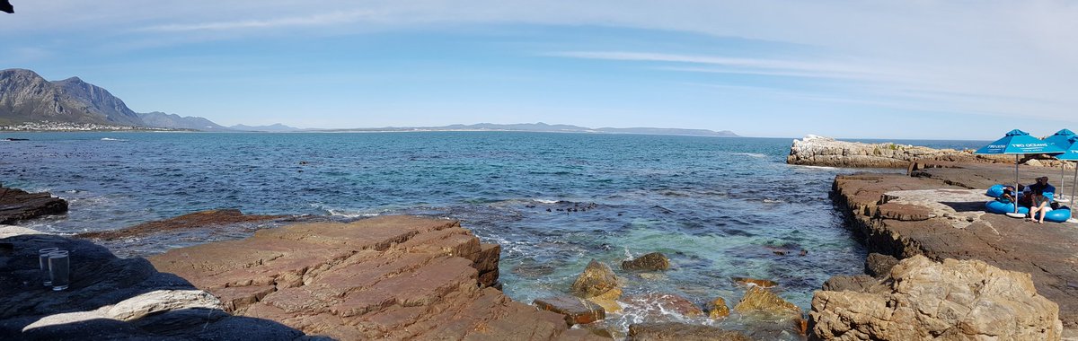 download stepping stones: a journey through the ice age caves