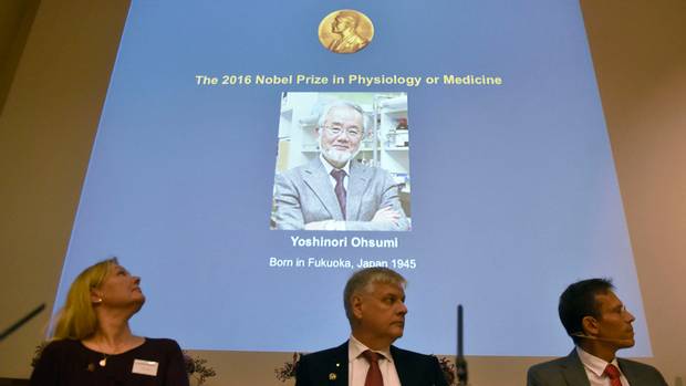 2016 Nobel Prize in Physiology or Medicine, Nobel Forum, Stockholm #YoshinoriOhsumi #NobelPrize