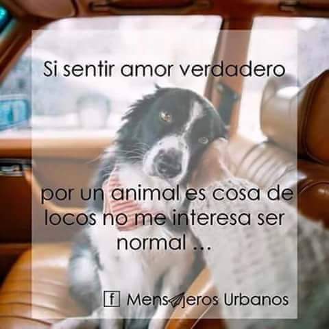 Lindamrojo's tweet photo. https://t.co/sWE1zdw2AL