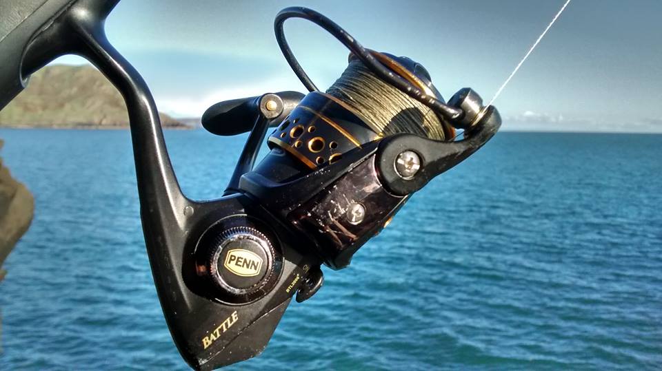 FoxonsFishing's tweet photo. Great #wrassefishing on the #lleynpeninsular this weekend. My old #pennbattle reel is still going strong #onelifefishit https://t.co/LgJsFI4gtc