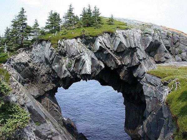 Newfoundland, Canada 😍🍁