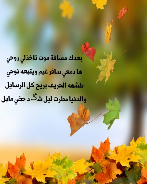 HiilKiil's tweet photo. @falbdry41 https://t.co/8vMWq1MuL9