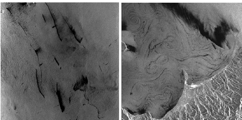 #SAR images from <a href="/esa/">European Space Agency</a> reveal organic slicks (left) and oil slicks (right) on the sea surface, corresponding to darker areas. #remotesensing