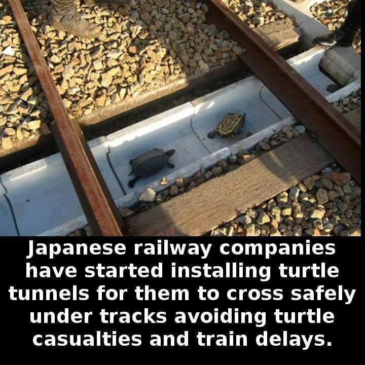 web_facts's tweet photo. https://t.co/NiigWwsd7n