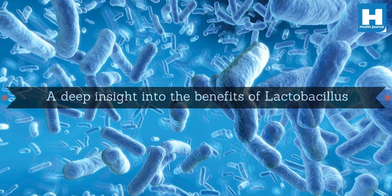 #USHealthJournal   #Health   #Lactobacillus   #Probiotic   #ProbioticStrains  

ushealthjournal.com/lactobacillus-…
