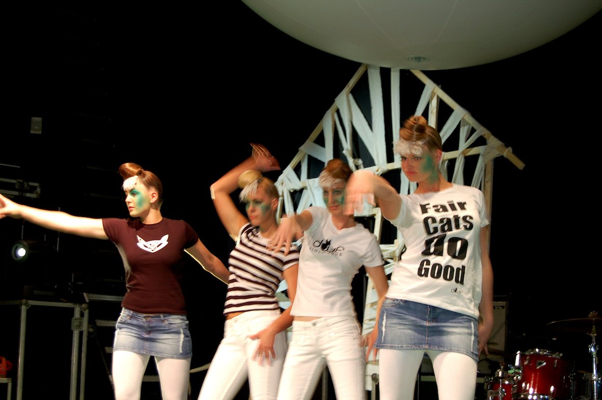 Uit tijdlijn Frisgroen! in 2009 mode act Fair Cats do good! Duurzame t-shirts <a href="/dweezilsfriend/">Vivian Joore-Buys</a> zijn tijdloos. Soon nieuwe website #zwolle