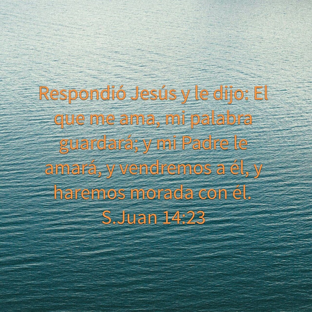 mromero_mayte's tweet photo. #ELdice https://t.co/yFcMGlyftR