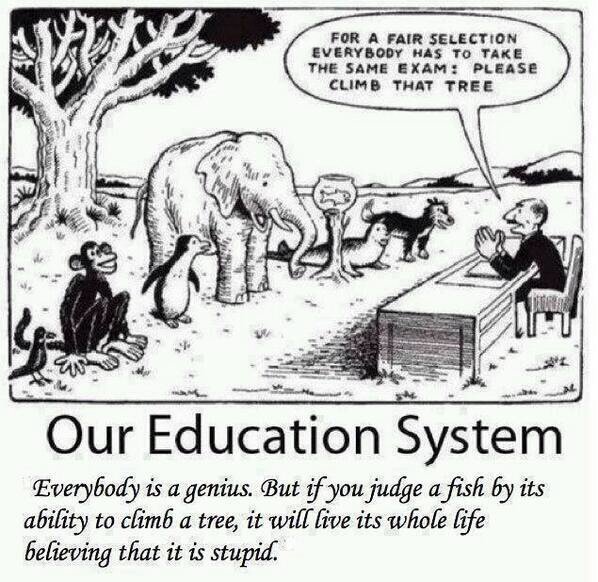 ms_acalvert's tweet photo. .@akay_vt , @ChildishlyGrown and @CourtneyPearl11 This seemed like a good way of describing the real issue with standardized test. #EDU3100 https://t.co/E6KqXbfZMK