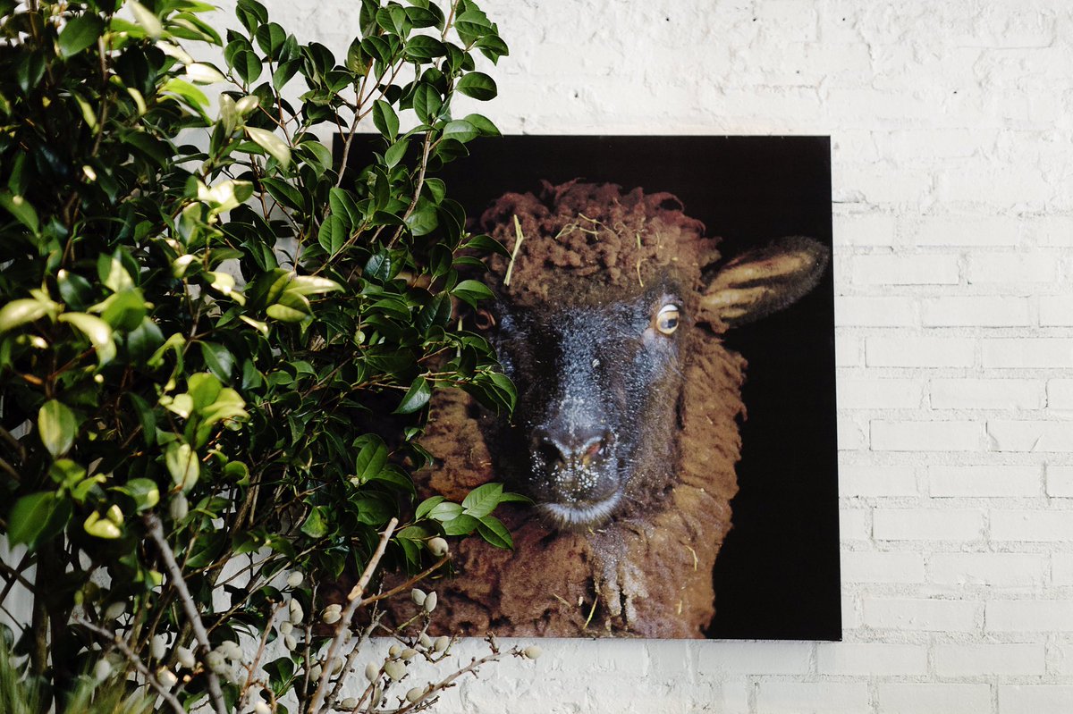 We will be closed this Wednesday. Please pardon any inconvenience #no246atlanta #decatur