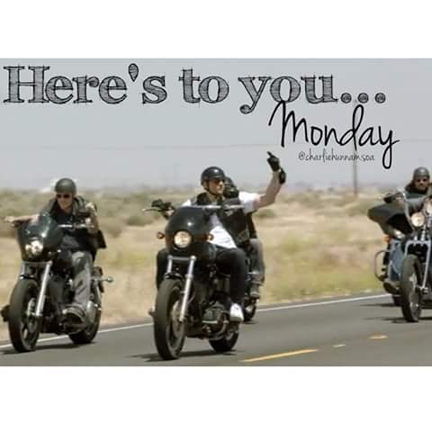 LuceroKory's tweet photo. @davidlabrava @SharkyMcGee71 https://t.co/R15EL6c5Sm
