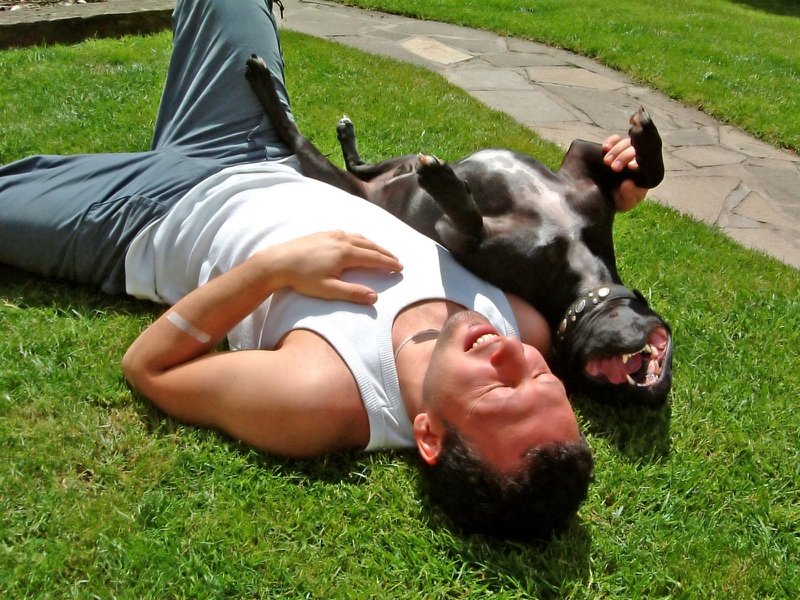 Le migliori vacanze...sono a 4 zampe!
TripDoggy.com, Il sito per viaggiatori a 4 zampe pensato da viaggiatori a 4 zampe
#tripdoggy