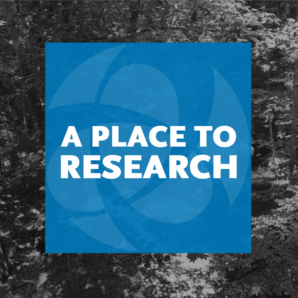 VetArtsConnect's tweet photo. We're quantifying the healing power of nature. Learn more about our research program. https://t.co/h3YSJ4VSaH https://t.co/gqSjc3y6eX