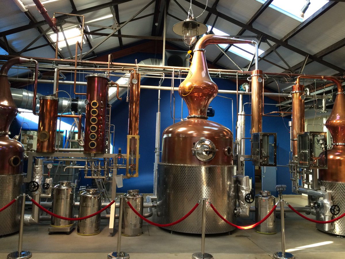 Kit Clancy tweet media