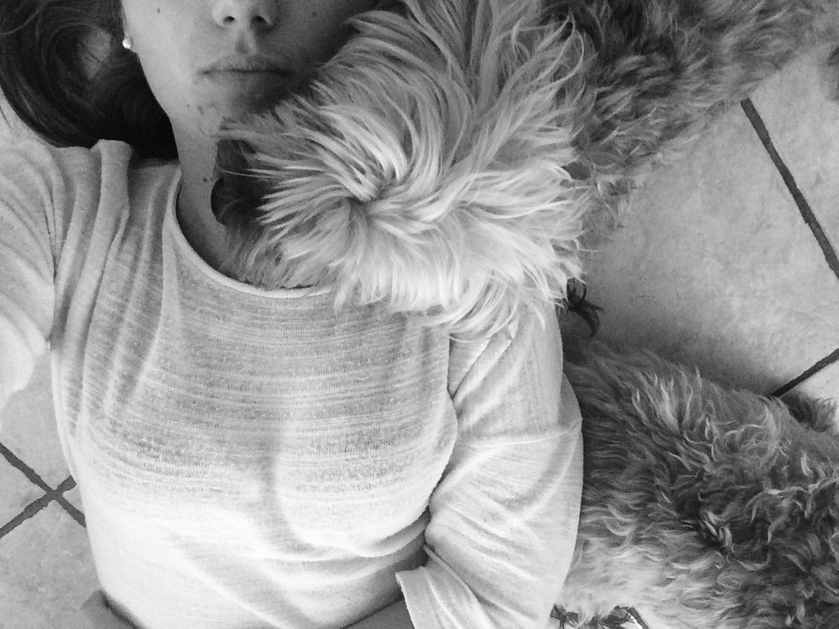 ItsAliceMoschen's tweet photo. L'affetto che ti da un cane, non potrà mai dartelo una persona. https://t.co/164xeOpCmj