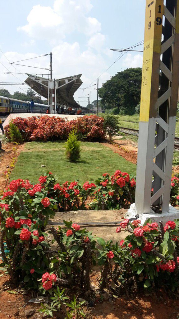 A garden at end of PF no 2&amp;3 at Bangalore Cantt developed in 02.10.16
