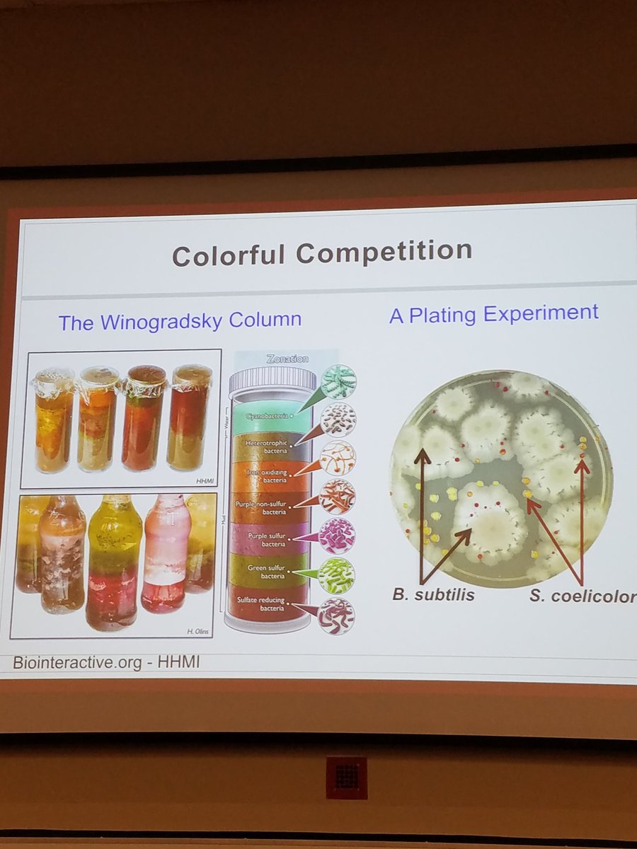 UTKMicrobiology's tweet photo. #ColorfulCompetition https://t.co/NUdqlCxhMn