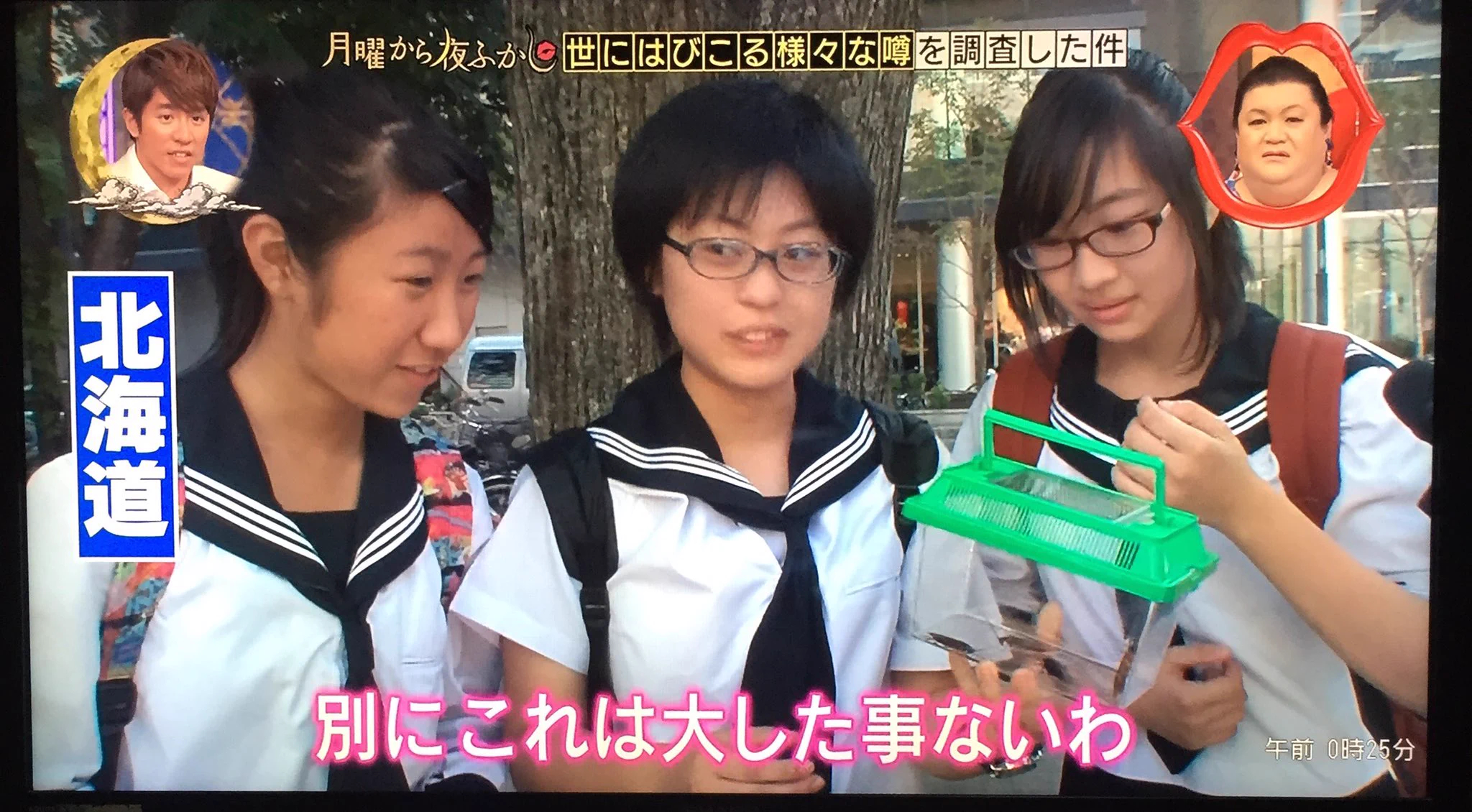 北海道民にゴキブリを見せた結果？意外とみんなウキウキwww