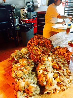 Amazing first batch of "Hen of the Woods." Absolutely pristine. Absolutely perfect. Courtesy of Rebecca Fyffe.