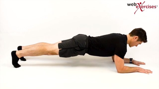 DocFitzSTL's tweet image. The prone plank is a great exercise to train your entire core. Add a 30 min plank to your daily routine and work... bit.ly/2dMAWJt