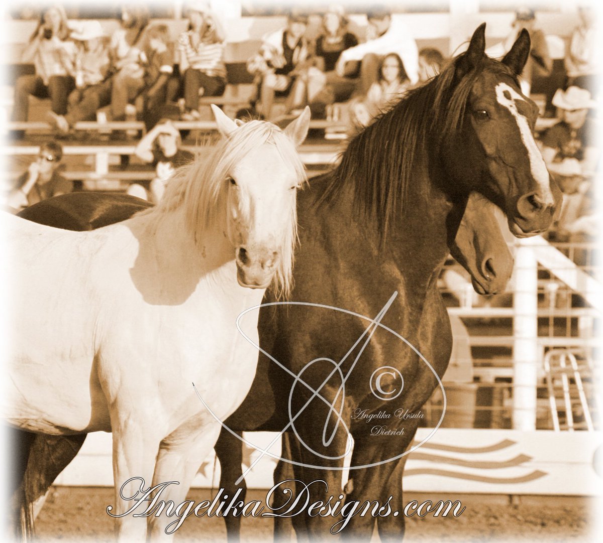 I Love WallowaCounty tweet media