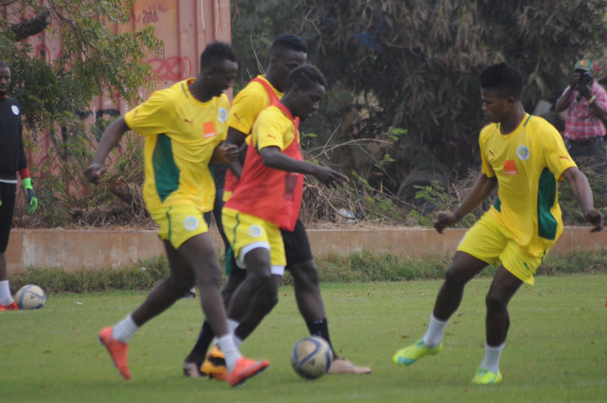 Fsf_officiel's tweet photo. La première séance d'entrainement des lions ouverte au public à 17:30  aujourd'hui au Stade Leopold Sedar Senghor . https://t.co/m2HQytxGGe