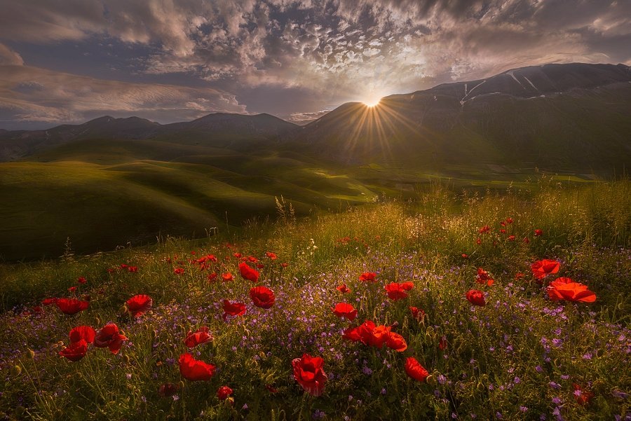 Good evening 😊
Dino P.