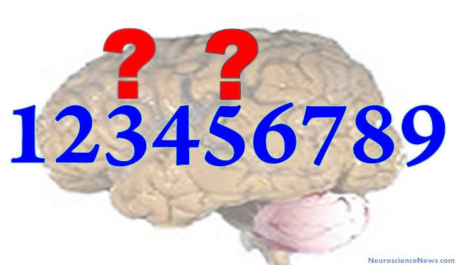 smilewithlight1's tweet photo. #Psyc2400 Stroop Number Effect https://t.co/Mse08L6UWB
#SNARCEffect >Stroop Effect # = WORDS #FasterBigger #onRight https://t.co/IUMnEOSO51 https://t.co/0nHLgMRt2t