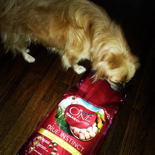 AmandaJChism's tweet image. New bag! See the difference. #ONEdifference #FreeSample landing.smiley360.com/landingpage147…