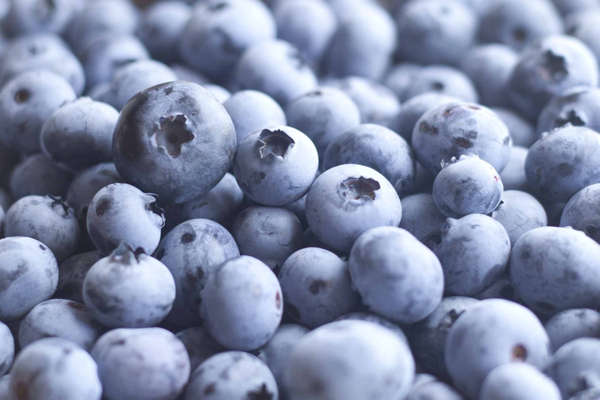 It's Ontario Agriculture Week! To celebrate, ask us questions about farming so we can connect and learn more about agriculture! #loveONTfood