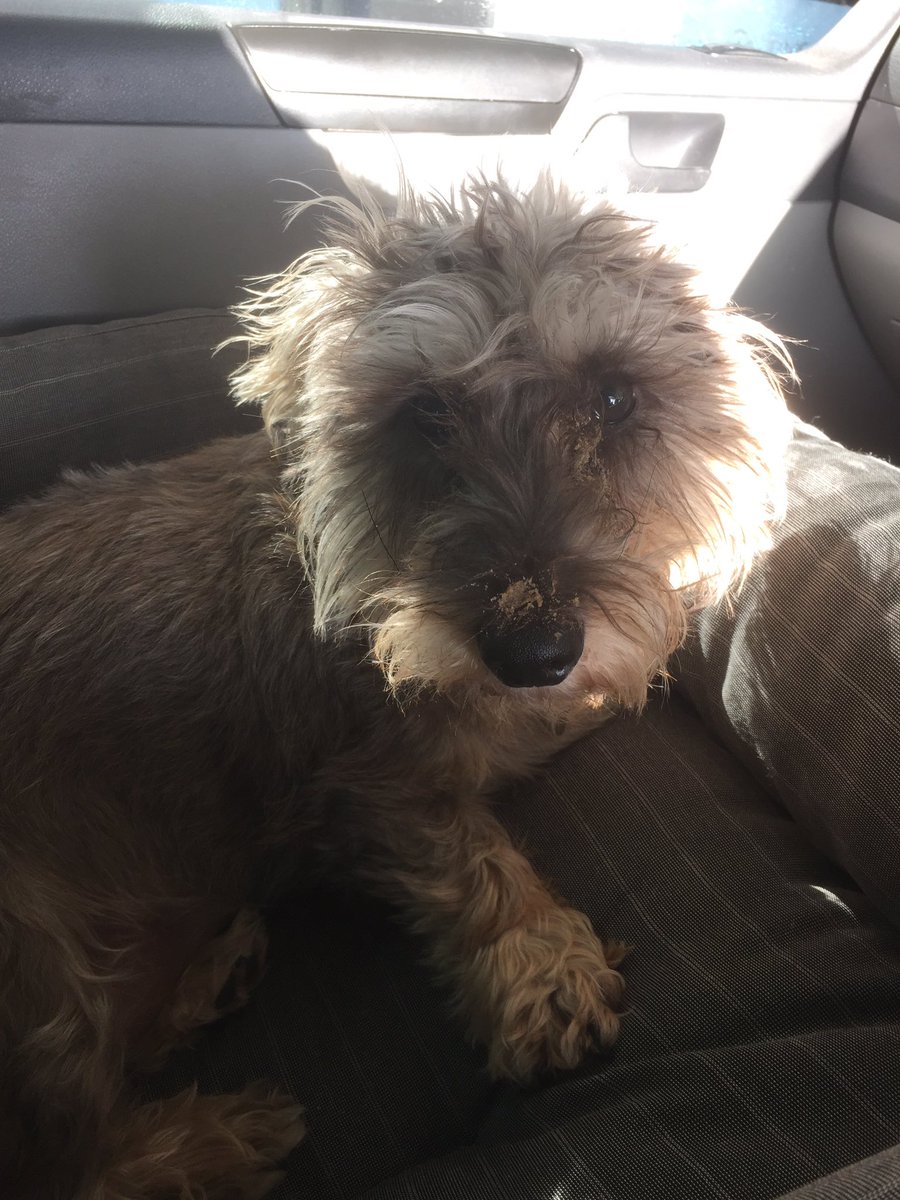 JasonThacker5's tweet image. Reg is ready for a big day !!!!!!