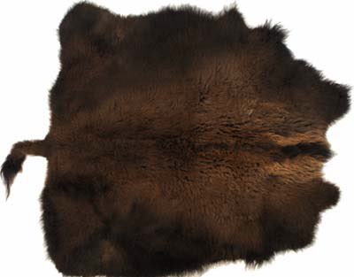 1865buffalo's tweet photo. Look what they did to my family, I miss you dad. #savebobsfamily #letthemlive https://t.co/07becLsh6D