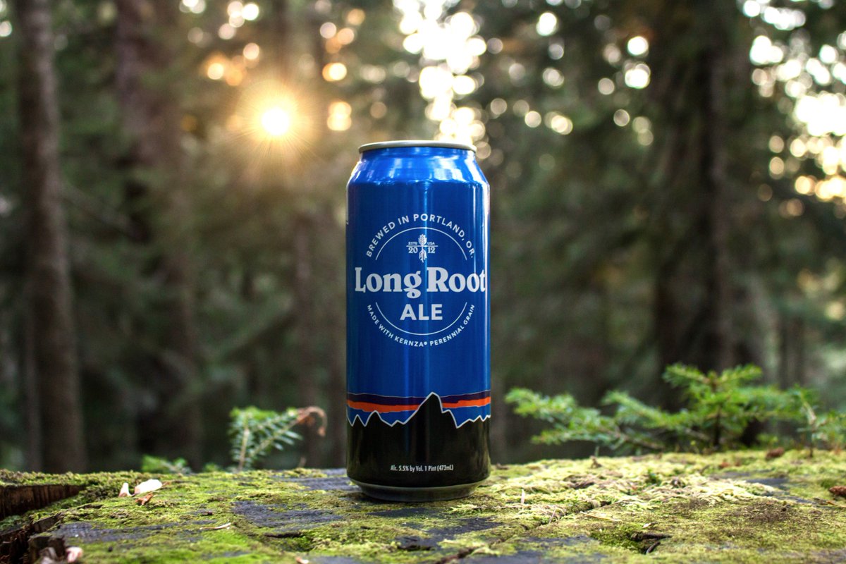 PatagoniaProv's tweet image. Revolutions start from the bottom. More about our new product: pat.ag/longrootale Photo: Chad Brigman #longrootale #enjoyresponsibly21+