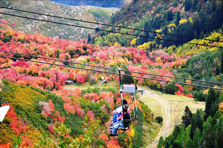 provocity's tweet photo. Here's a list of the six best places in Provo to view the fall foliage. Enjoy. https://t.co/zhIIiGPrnn https://t.co/IleYdfKCWy