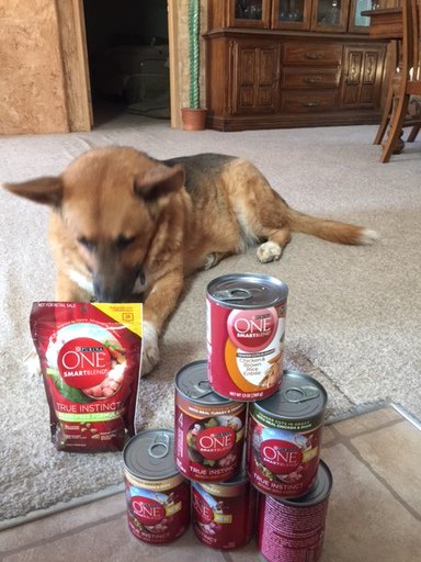 VegasCactus's tweet image. #freesample See the difference. #ONEdifference #FreeSample landing.smiley360.com/landingpage147…