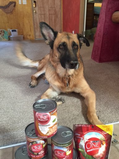 VegasCactus's tweet image. #freesample See the difference. #ONEdifference #FreeSample landing.smiley360.com/landingpage147…