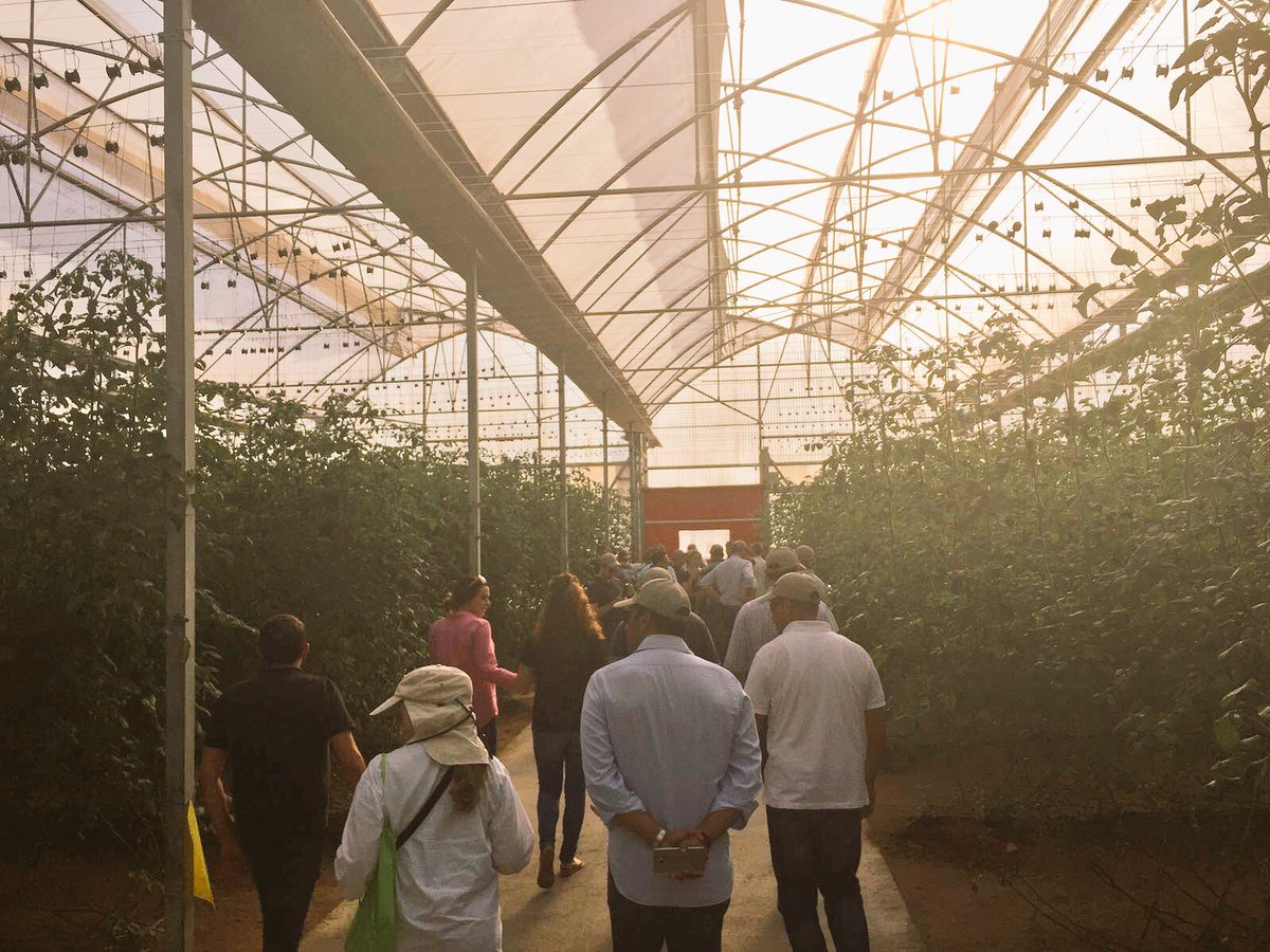 ideagro's tweet photo. Hoy por la tarde en tour @Alltech #CropScience &amp; @AlltechSpain hemos visitado las instalaciones de #GrupoPerichan 🍅🍅🍅#FruitAttraction2016 https://t.co/sjbx0Pg0Sk