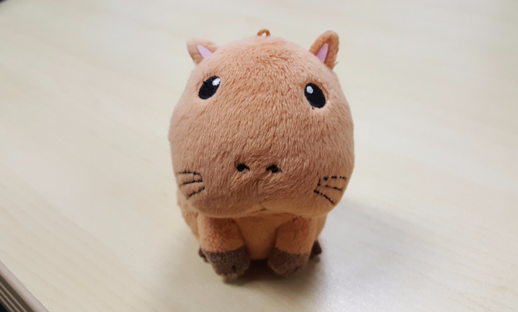 capybara plush