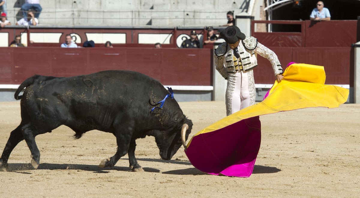 et_Madrid's tweet photo. En la web 🚩Gran actuación de Alejandro Adame en la final de El Camino hacia Las Ventas https://t.co/nDUxkUdTUq https://t.co/OuCBTr7QUK