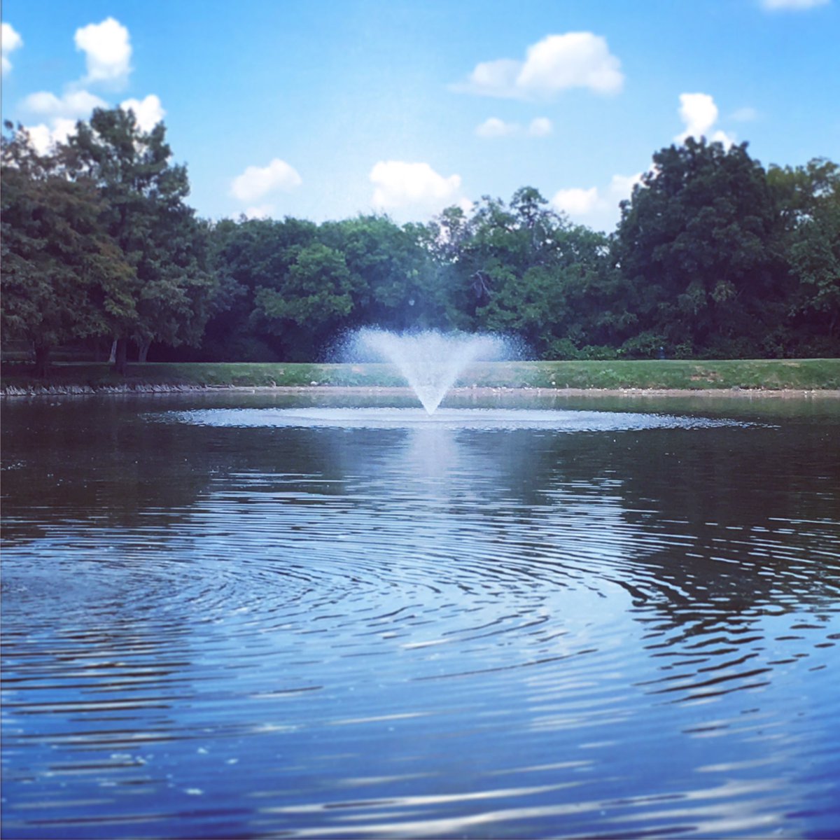 DirtCheapYoga's tweet photo. It's a beautiful day! Join us at 6pm @ Reverchon, 6pm @ Lake Highlands, &amp; 6:30 pm @ Kidd Springs. 
#dirtcheapyoga #dallasyoga #cheapyoga https://t.co/HbjPQACvGW