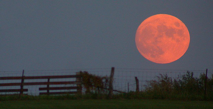Check out Tony's Astronomy Corner on the Harvest Moon!
wp.me/p4n7Oa-15a