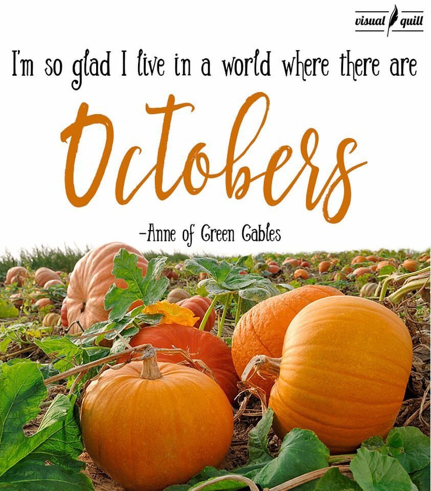 VisualQuill's tweet image. #HappyOctober 🎃🕸🍂