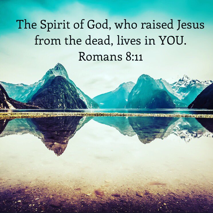 pottcountyfca tweet media