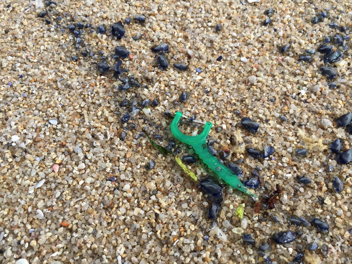 Seabin UK (seabinuk) Twitter