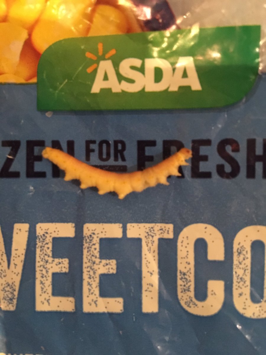 BretPod's tweet photo. Extra protein in the @asda sweet corn 😷 #TheNotSoHungryCaterpillar https://t.co/IXOAUEpRBy
